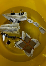 Shibori Dyeing Workshop