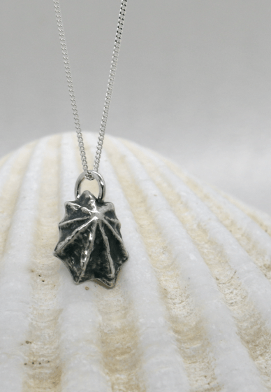 Silver Clay Seashell Earring and Necklace Workshop