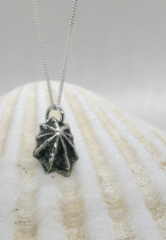 Silver Clay Seashell Earring and Necklace Workshop