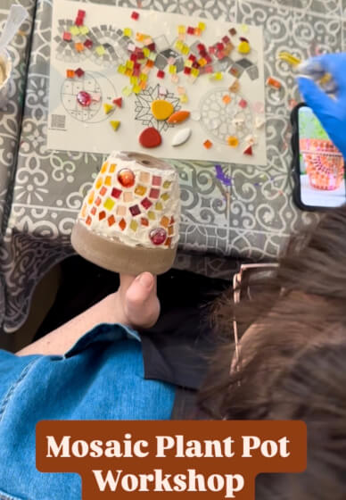 Sip and Create: Mosaic Plant Pot Workshop