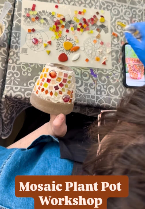 Sip and Create: Mosaic Plant Pot Workshop