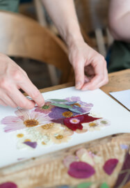 Sip and Create Workshop: Pressed Flower Sunsets by the Thames