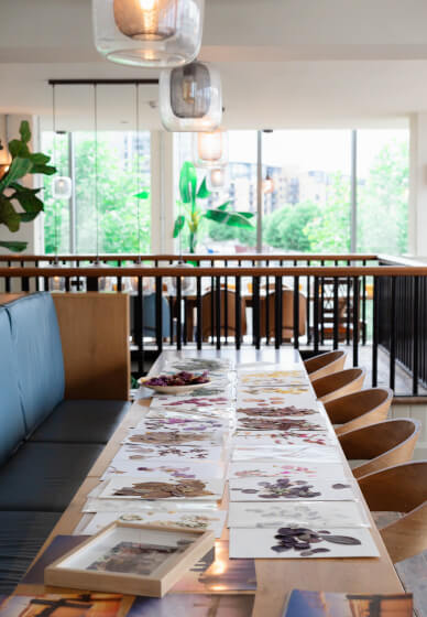 Sip and Create Workshop: Pressed Flower Sunsets by the Thames
