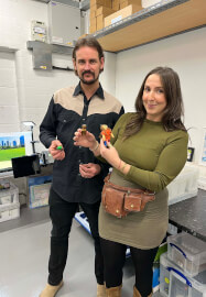 Sip and Stopmotion: Plasticine Workshop