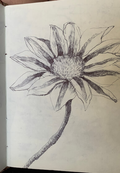 Sketch and Sip Social Club Workshop