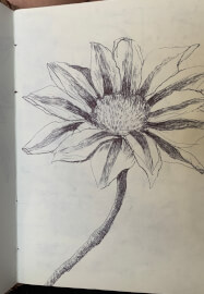 Sketch and Sip Social Club Workshop