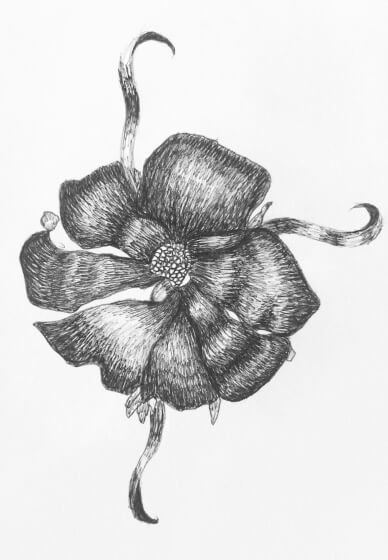 Sketch and Sip Social Club Workshop