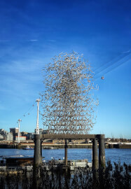 Smartphone Photography Workshop - Greenwich Peninsula