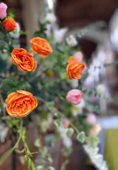 Smartphone Photography Workshop - Hitchin
