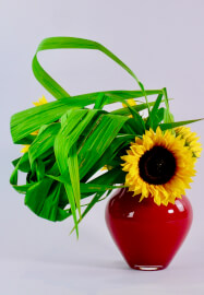 Sogetsu School of Ikebana Lesson