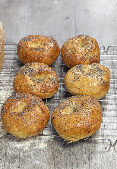 Sourdough Pizza and Classic Dough Bread Class
