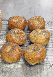 Sourdough Pizza and Classic Dough Bread Class