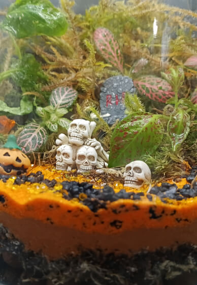 Spooky Terrarium Creation Workshop