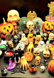Spooky Terrarium Creation Workshop