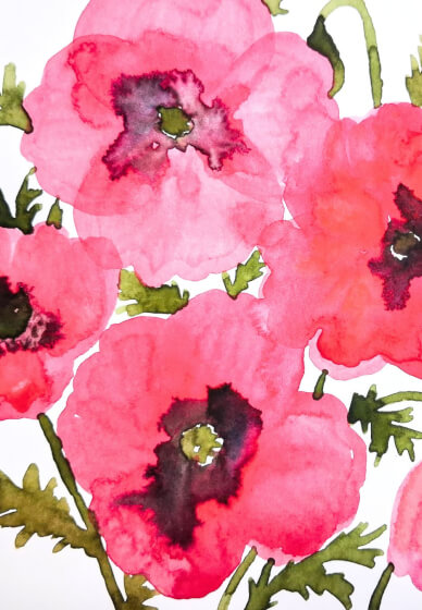 Spring Poppies Watercolour Painting at Home