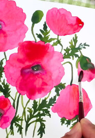 Spring Poppies Watercolour Painting at Home