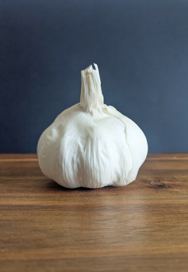 Still Life Photography Workshop from Home