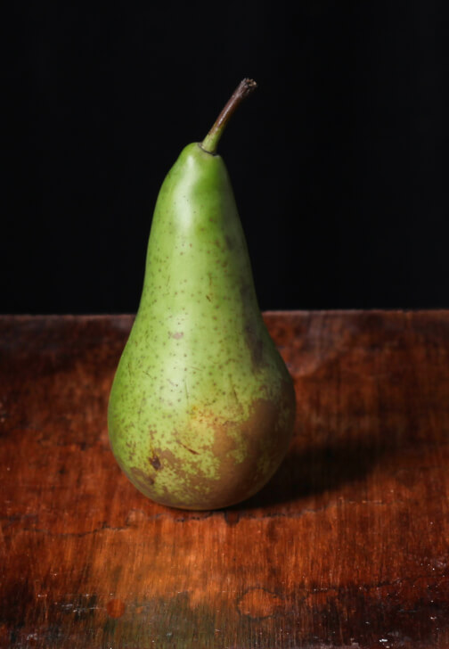 Still Life Photography Workshop from Home