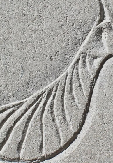 Stone Carving Workshop: Sycamore Seed in Relief