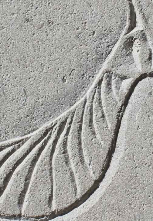 Stone Carving Workshop: Sycamore Seed in Relief