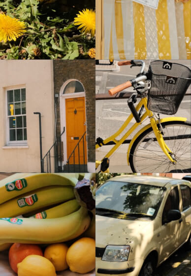 Summer Colour Hunt Photo Walk and Matcha Tasting