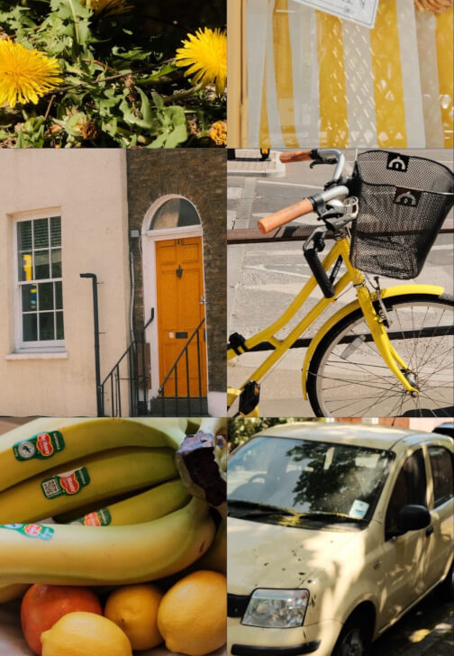 Summer Colour Hunt Photo Walk and Matcha Tasting