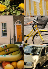 Summer Colour Hunt Photo Walk and Matcha Tasting