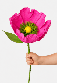 Summer Craft Camps at Highgate