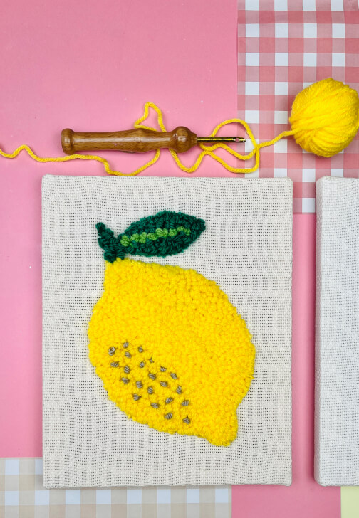 Summer Fruits Punch Needle Art Workshop