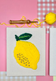 Summer Fruits Punch Needle Art Workshop