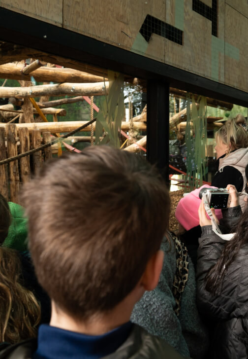 Summer Half Term Photography Course