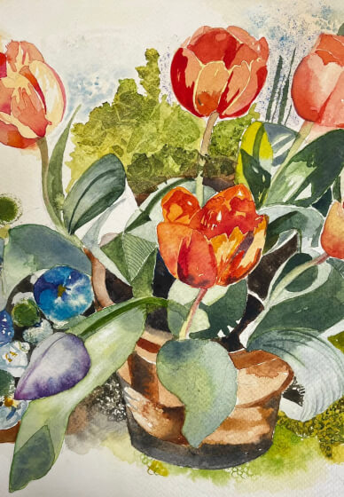 Summer Watercolour Course