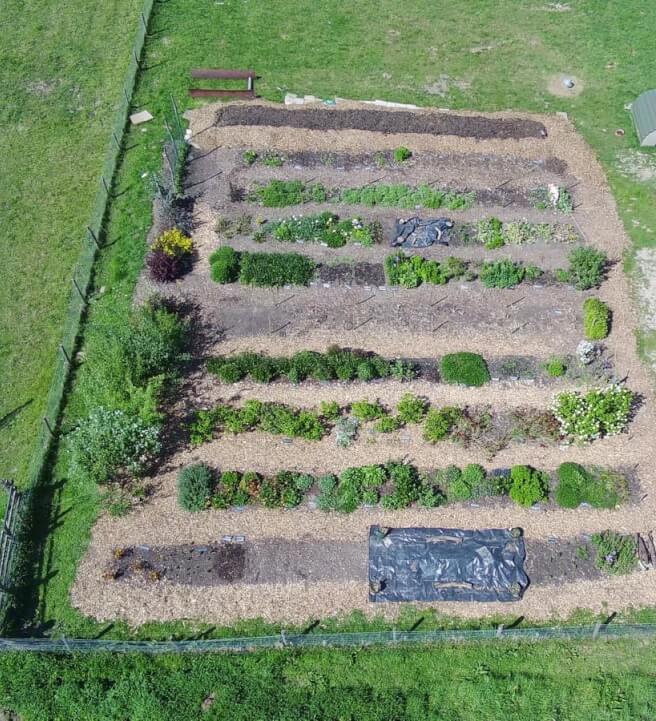 Sustainable Cut-Flower Gardening Workshop