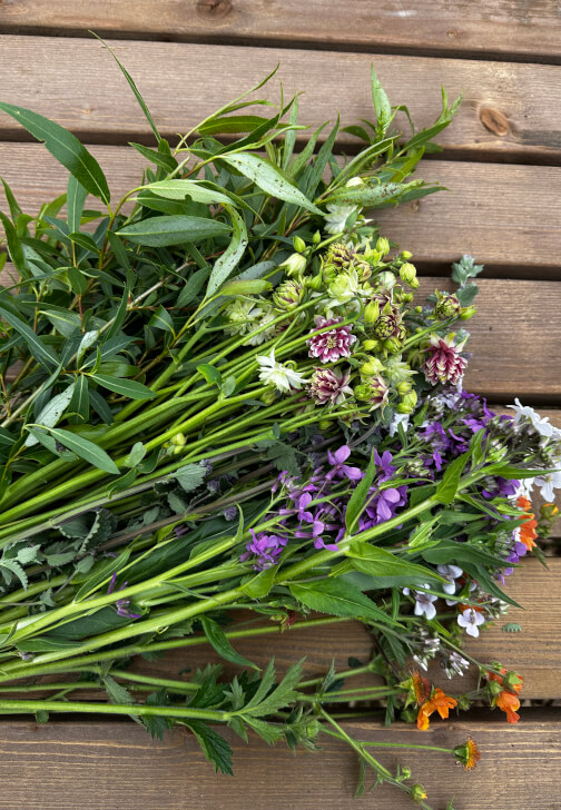 Sustainable Cut-Flower Gardening Workshop