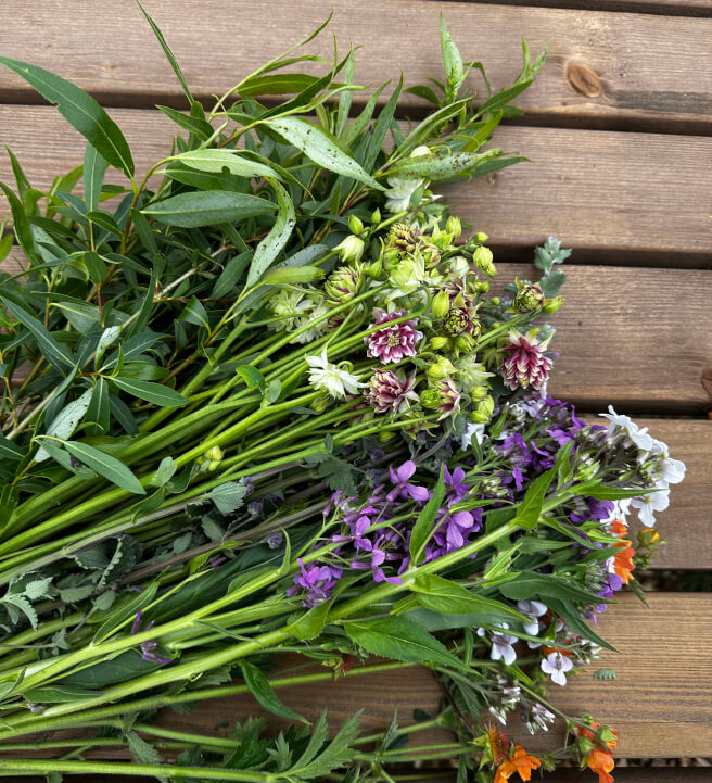 Sustainable Cut-Flower Gardening Workshop