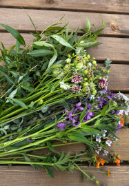 Sustainable Cut-Flower Gardening Workshop