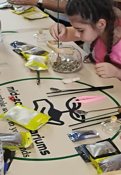 Tea Pot Terrarium Elegant Creation Workshop