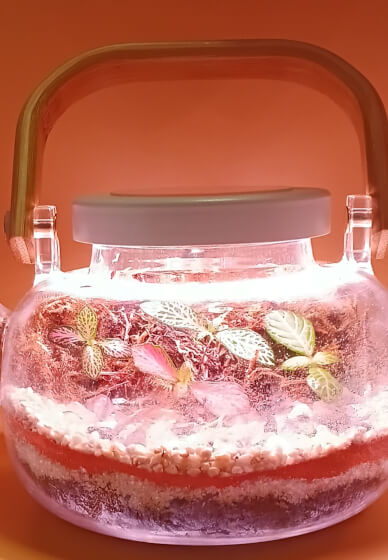 Tea Pot Terrarium Elegant Creation Workshop
