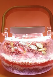 Tea Pot Terrarium Elegant Creation Workshop