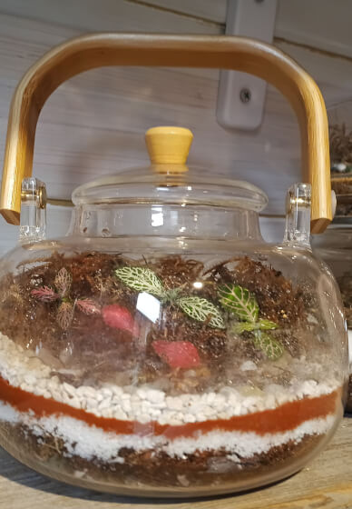 Tea Pot Terrarium Elegant Creation Workshop