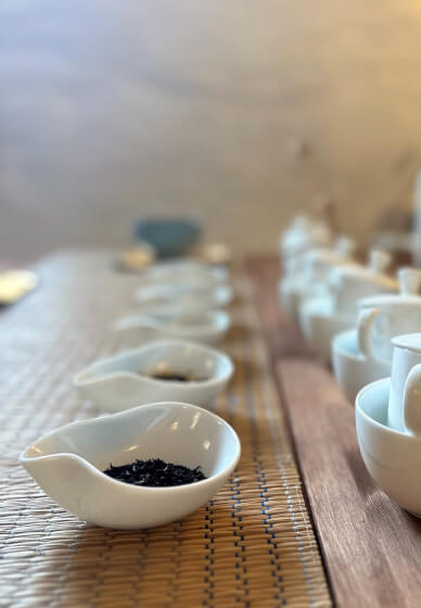 Tea Tasting Class for Mindfulness