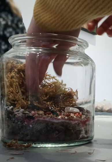 Terrarium Kit - Next Level