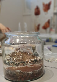 Terrarium Kit - Next Level