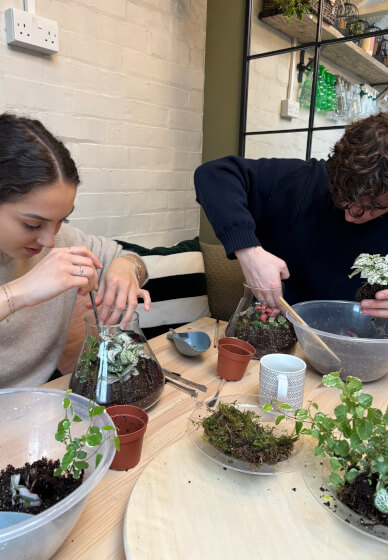 Terrarium Making Class