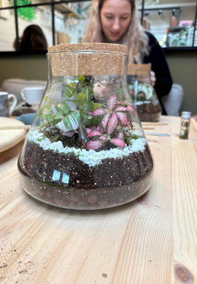 Terrarium Making Class