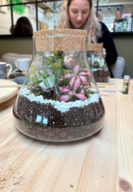 Terrarium Making Class