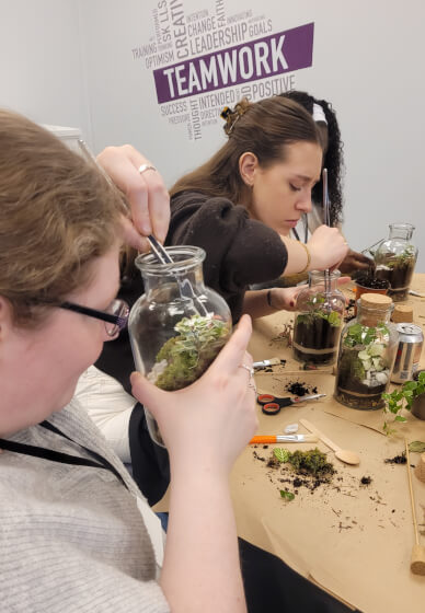 Terrarium Making Workshop - Birmingham Team Building