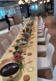 Terrarium Making Workshop - Birmingham Team Building
