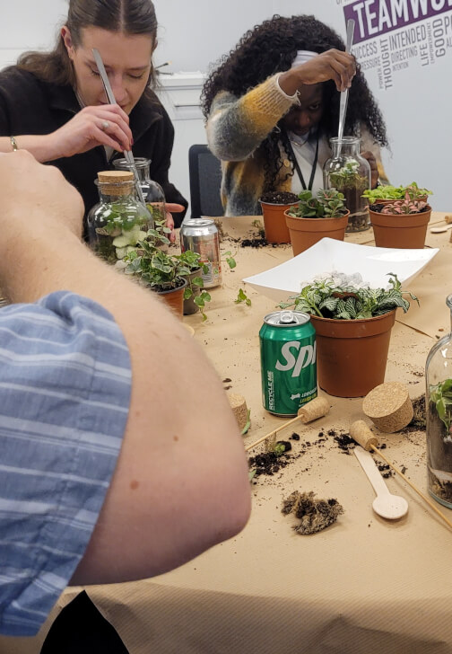 Terrarium Making Workshop - Birmingham Team Building