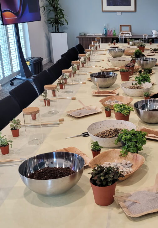 Terrarium Making Workshop - Leeds Team Building